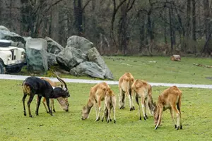 zoo Ostrava