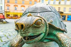 Olomouc želva