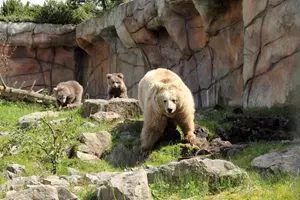 zoo ohrada
