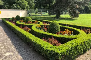 zámecká zahrada brandýs