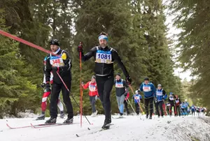 Šumavský skimaraton