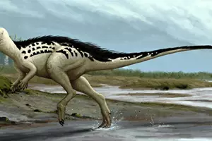 burianosaurus