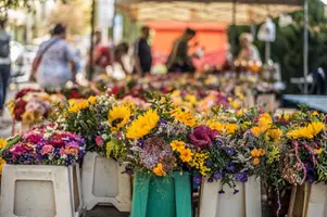 Trh Jiřák květiny