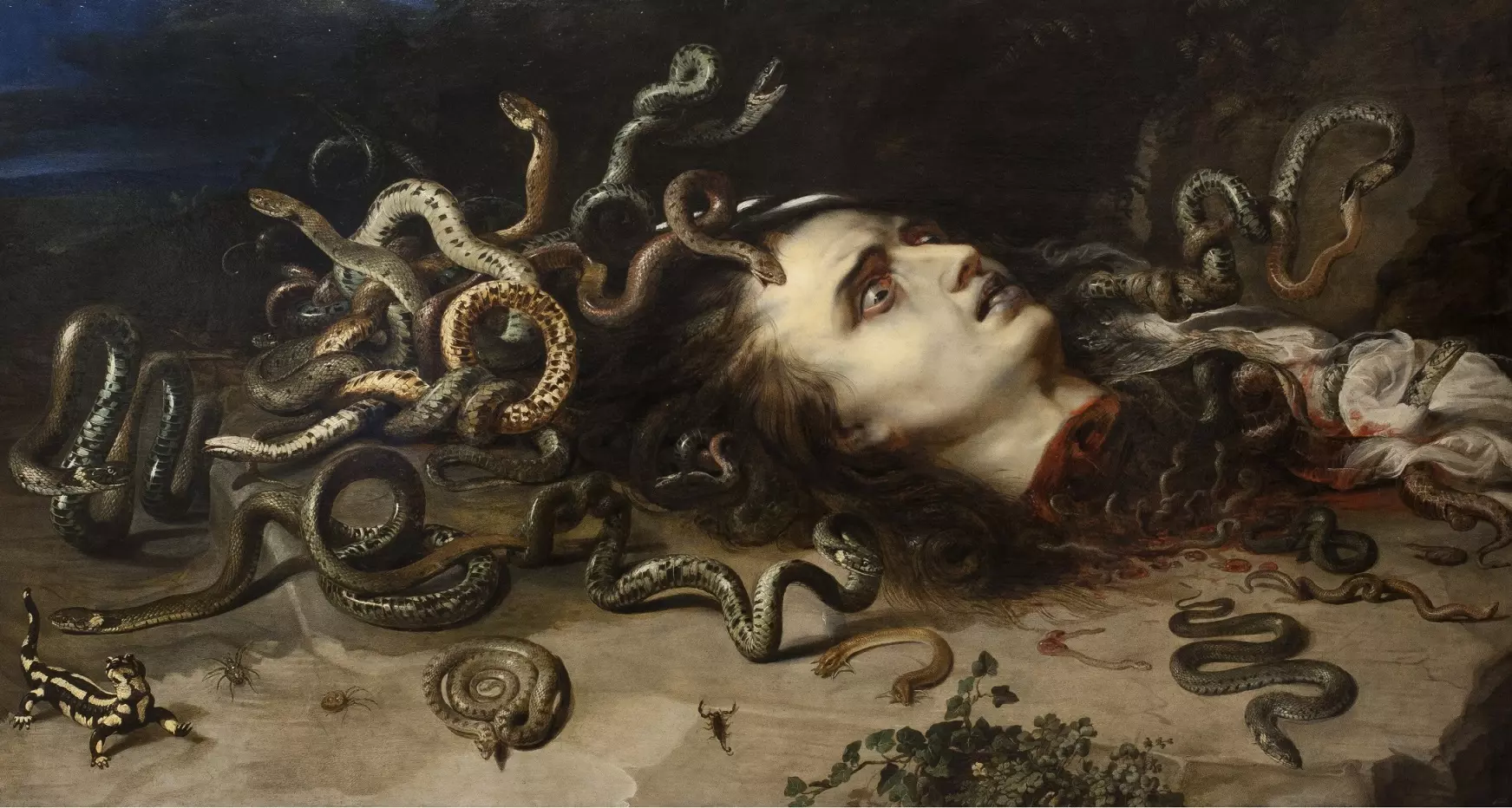 Hrůzostrašně krásná Medusa brněnská…