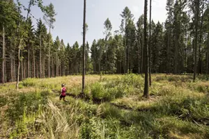 Liberec Nature Run
