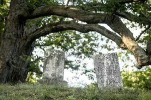 Hroby pod stromem