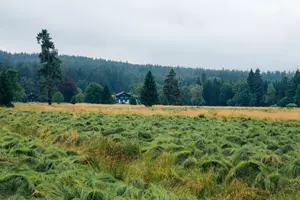 slavkovský les