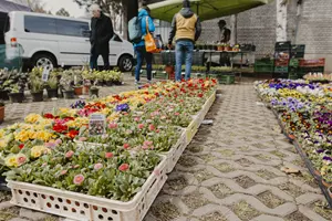 tržnice zahrady čech