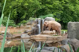 Zoo Praha Údolí slonů