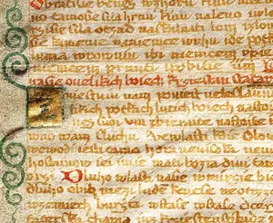 rukopis královedvorský