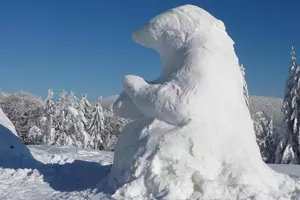 sochy ze sněhu