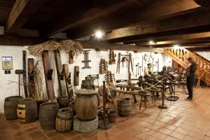 Pivovarské muzeum v Plzni – prožijte příběh piva