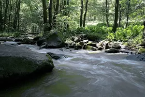 řeka brtnice