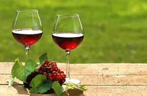 Svatomartinská vína a husy. Přijeďte ochutnávat na Východní Moravu