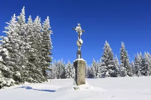 Šumava v  zimě