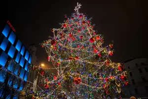 Brno vánoční strom