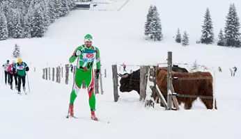 Skimaraton Šumava