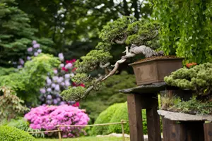japonská zahrada botanická praha