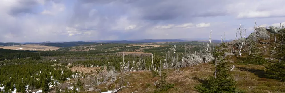 V 90. letech zbyly z lesů na hřebenech Krušných hor jen pahýly.
