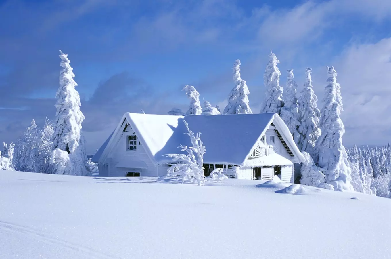 50 tipů na zimní výlety do přírody