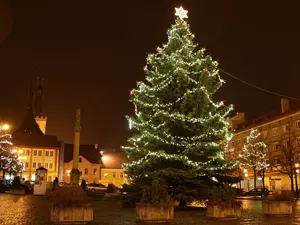 vánoční strom Louny