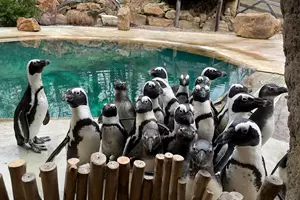 zoo ústí nad labem