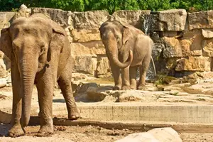 Zoo Praha – sedmá nejlepší zoo na světě
