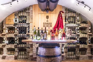 slovácká galerie vín