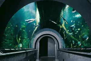Obří akvárium Hradec Králové