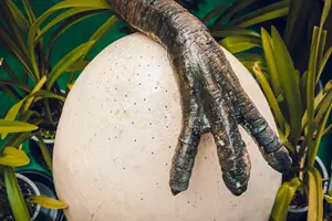 Dinosauří vejce